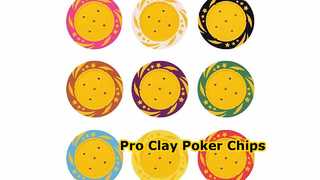14g Clay Poker Chips Custom Logo Texas Holdem
