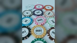 14g Casino Baccarat Crown LAS VEGAS Design Clay Poker Chips Inner Metal with Trim Sticker